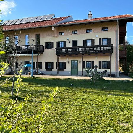 Loewenherz Homes Luxury Apartment - Stadt- Und Seenaehe - Fellnasenfreundlich - Lichtdurchflutet Stephanskirchen Zewnętrze zdjęcie